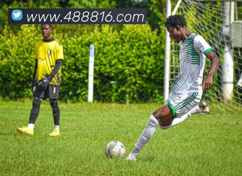 App Interface Preview