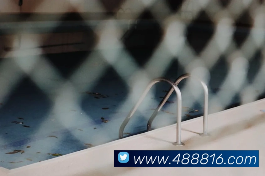 v8体育入口APP 封面图